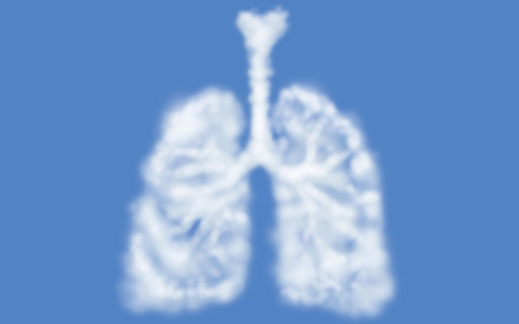 polmoni e aria pulita