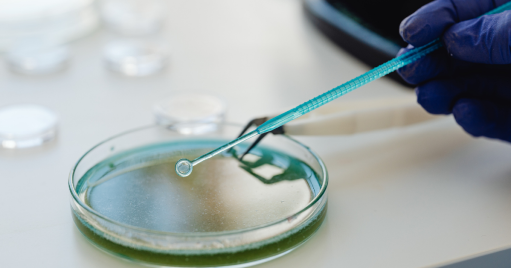 Listeria sulle superfici